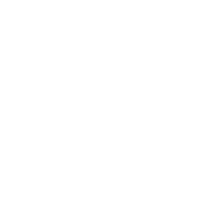 Retro Grande Polo